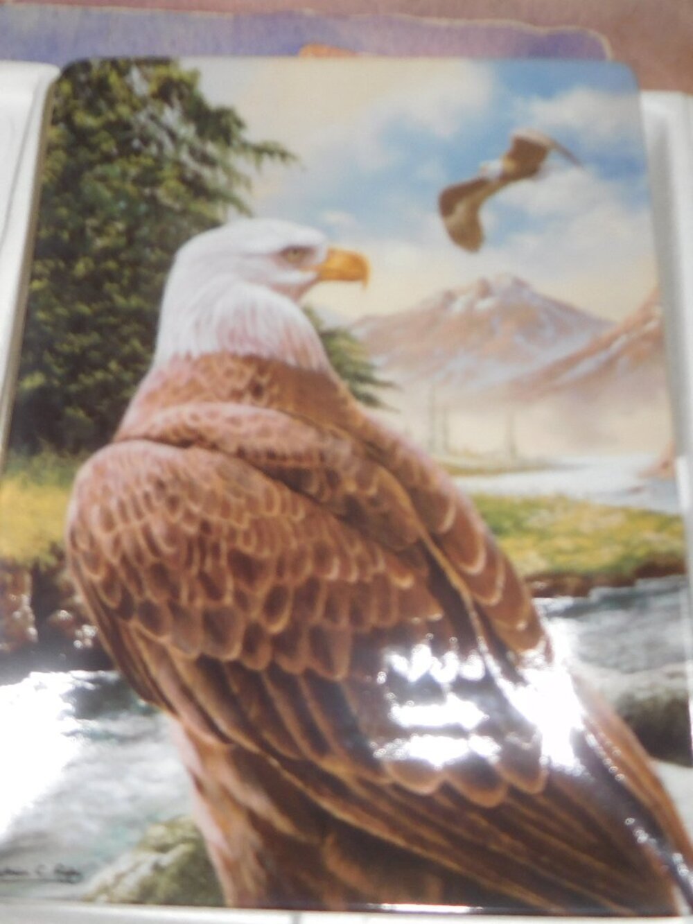 Realm of the Majestic Eagle Plate Collection / "Spring Flight"